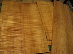 05Sep08-3.jpg