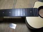 09Oct08-2.jpg