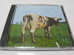 16Jun08-3.jpg