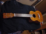 C3-39.jpg