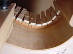 C3-5.jpg