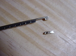 FRET NIP2.jpg