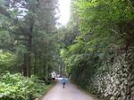 Okutama14.jpg