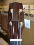 P1-10.jpg