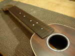 P1-177.jpg