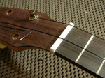 P1-196.jpg