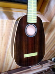 P1-209.jpg