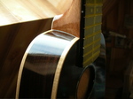 P1-216.jpg