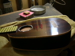 P1-223.jpg