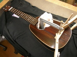 P1-229.jpg