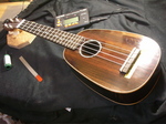 P1-231.jpg