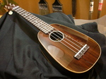 P1-235.jpg
