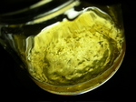 P1-61.jpg