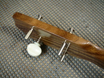 RYR1-11.jpg