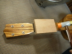 RYR1-16.jpg