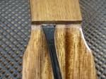 RYR1-18.jpg