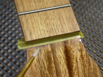 RYR1-19.jpg