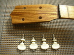 RYR1-8.jpg