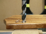 RYR1-9.jpg