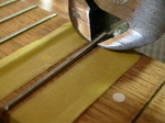 RYR2-4.jpg