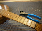 RYR2-7.jpg