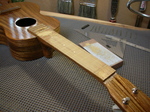 RYR2-9.jpg