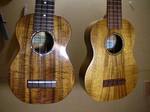 S5-197.jpg