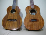 SI-23.jpg