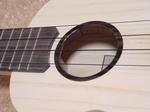 WA-9.jpg