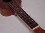 Z2-7.jpg